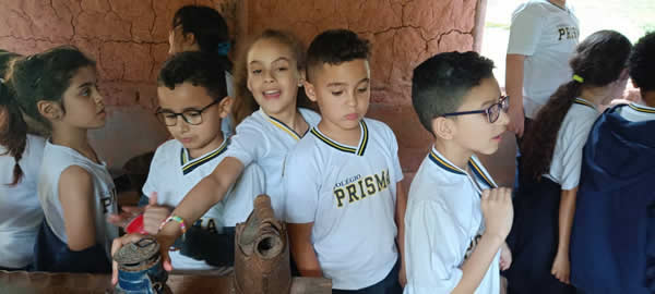 Bicho Mania 2022
